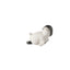 Futte & Gumbi Klarborg Pinguine 